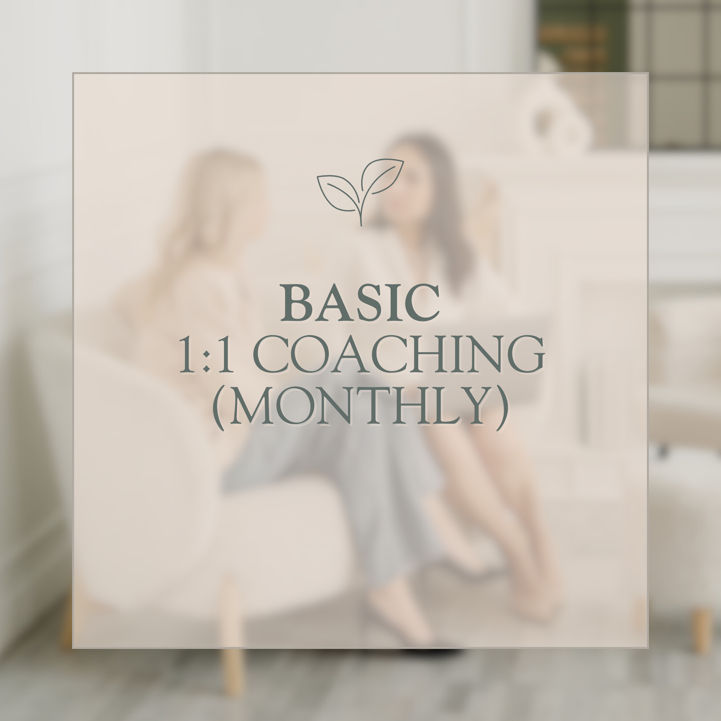 Basic Monthly Coaching Plan